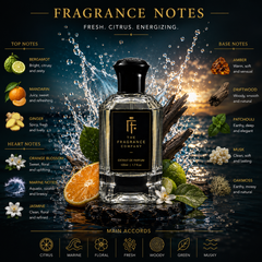 A glass bottle of fragrance extract centered on a dramatic dark water splash background, surrounded by labeled fragrance notes including bergamot, mandarin, ginger, amber, driftwood, patchouli, musk, and damask. The bottle has a black cap and black front label with a gold logo and text reading 'The Fragrance Company' and 'Extrait de Parfum 100ml'.